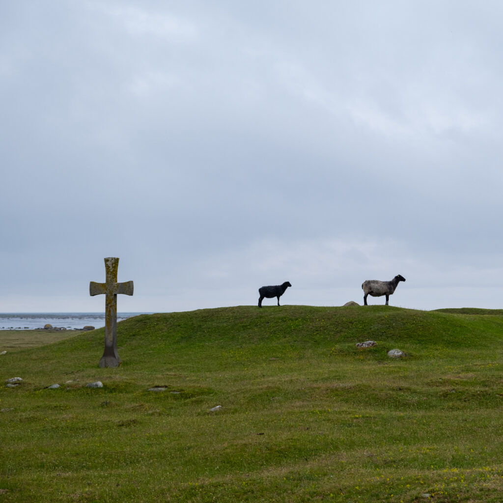 Zwei Schafe auf einem kleinen Hügel hinter einem Steinkreuz auf Öland